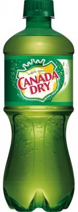 Canada Dry - Ginger Ale (20oz can) (20oz can)